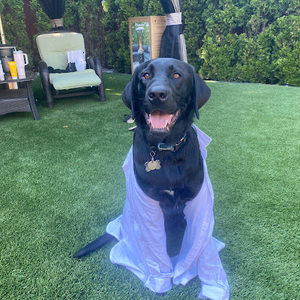 Meet your Posher, Alisha